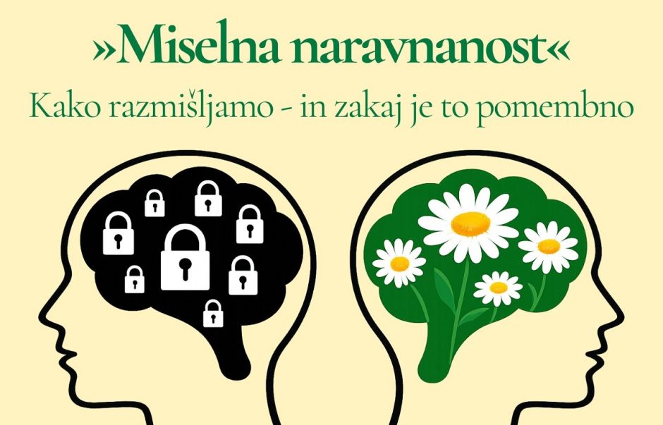 Miselna naravnanost